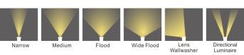 EARTHA D248 COB+Reflector Non-Adjustable